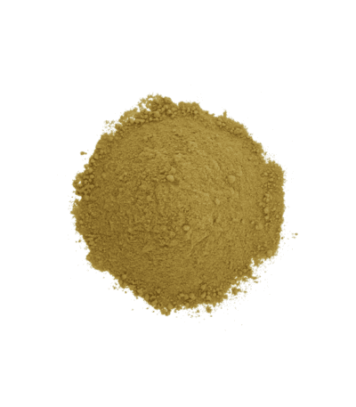 Kmin Rzymski Mielony 1kg