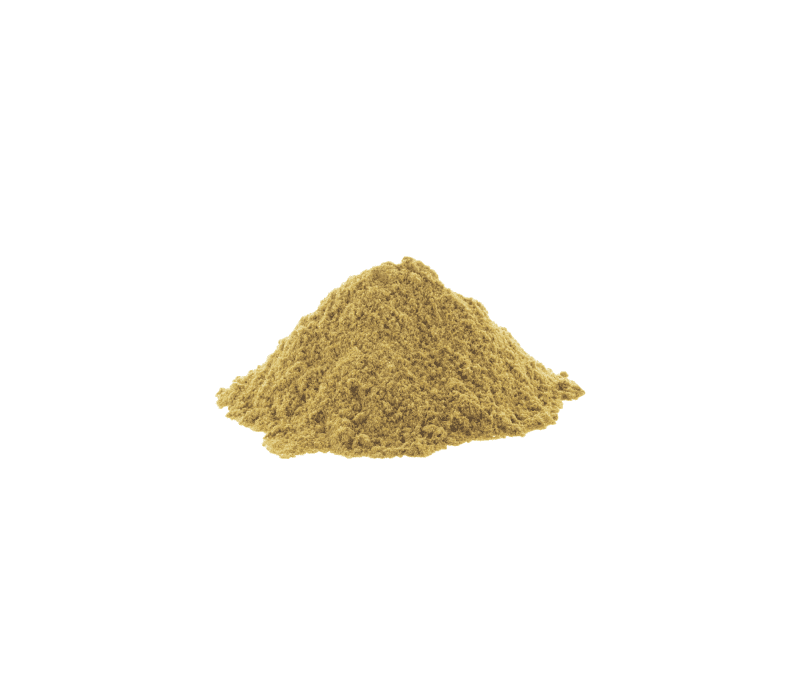 Kolendra Mielona 500g