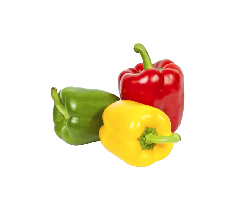Papryka Papryka