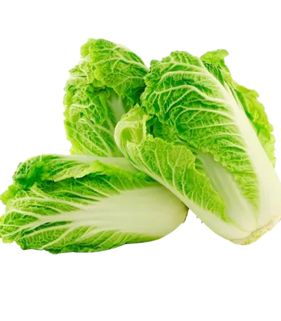 Kapusta Pekińska