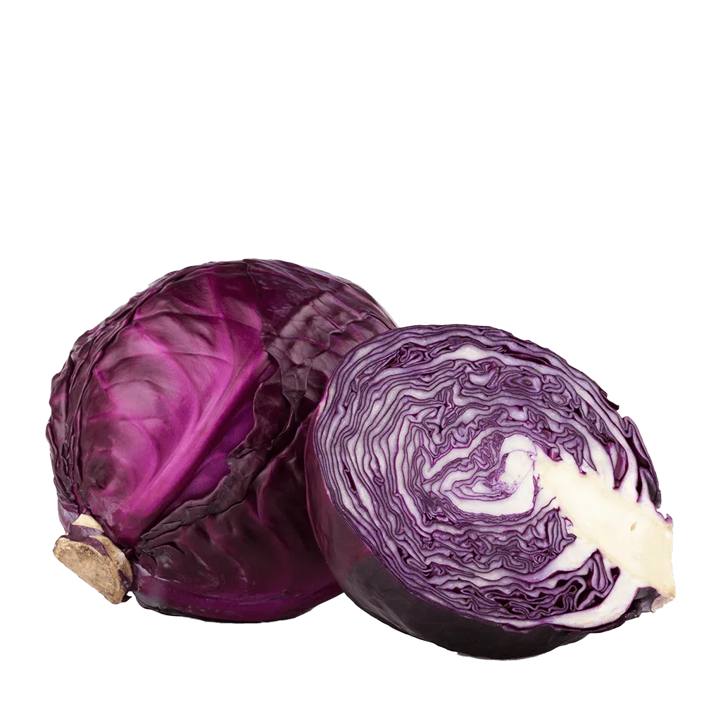Kapusta Czerwona