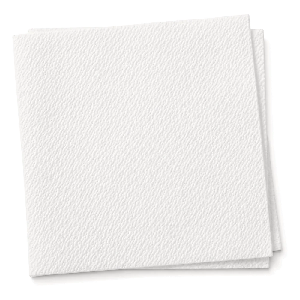 Clarina Katering Peçete 15x15 5000 adet