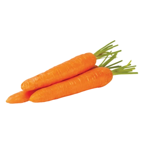 Marchew 10 kg
