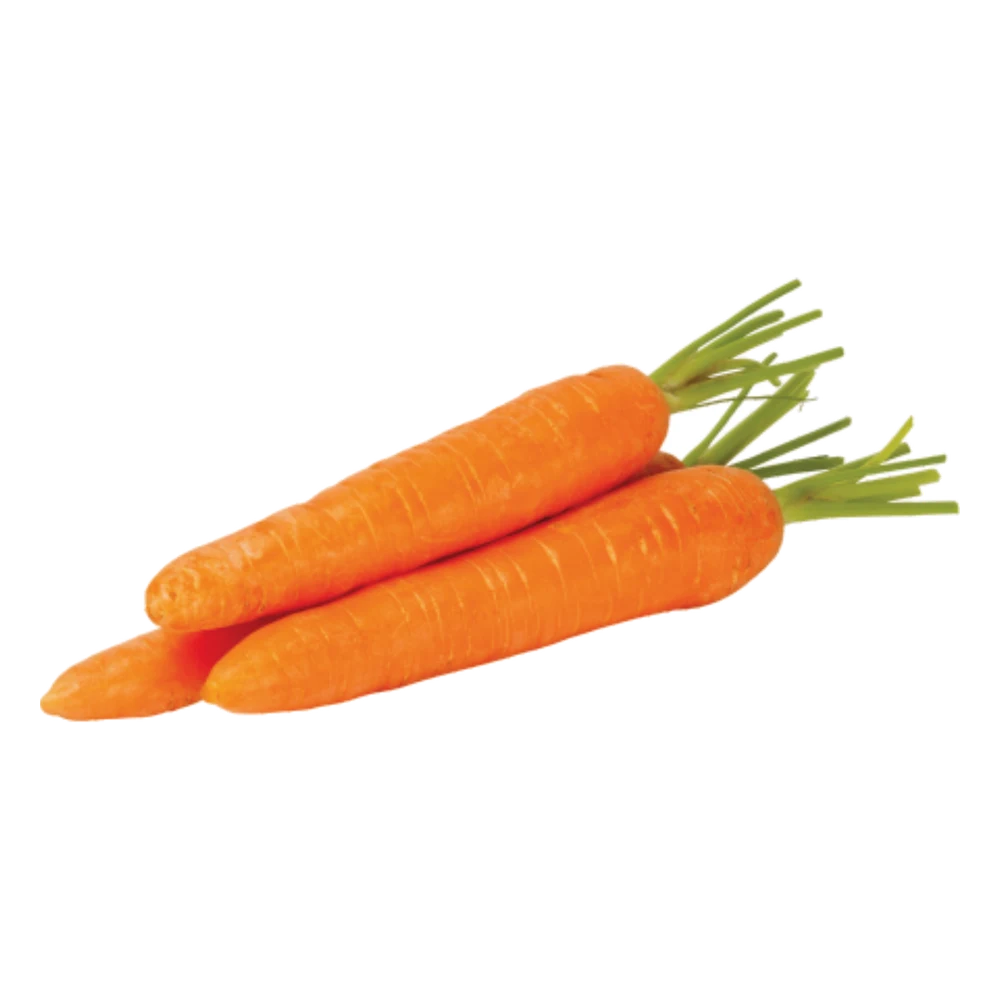Marchew 10 kg