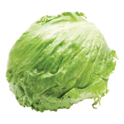 Sałata Lodowa Na sztuki